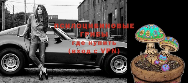 мяу мяу мука Алексеевка